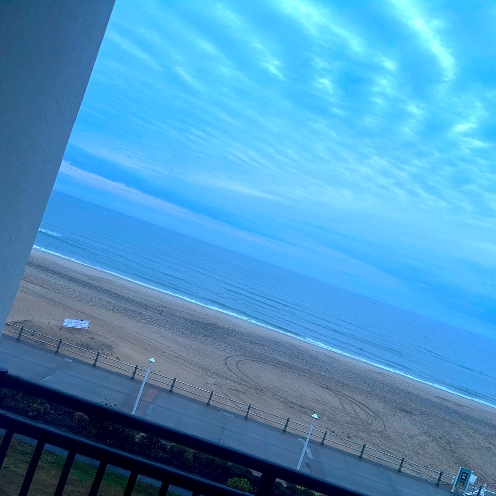 Meet your Posher, Tashi